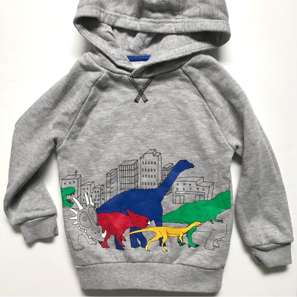 PRIMARK Dinosaur City Scape Pullover Long Sleeved Hooded Sweatshirt Hoodie